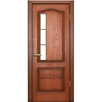 Dveri-newdoor13